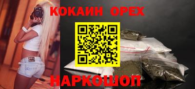 крисы Моздок