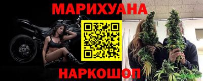 крисы Моздок